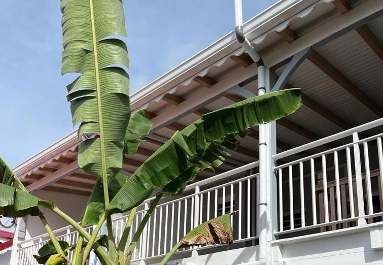 Bekeke Apartment Capesterre Exterior foto